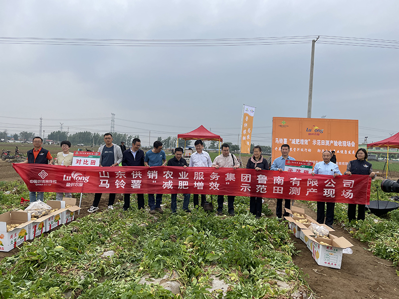 马铃薯试点现场会
