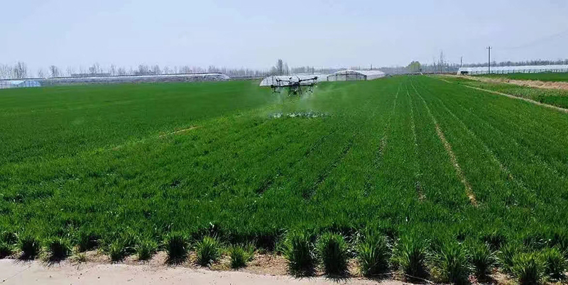 无人机飞防作业